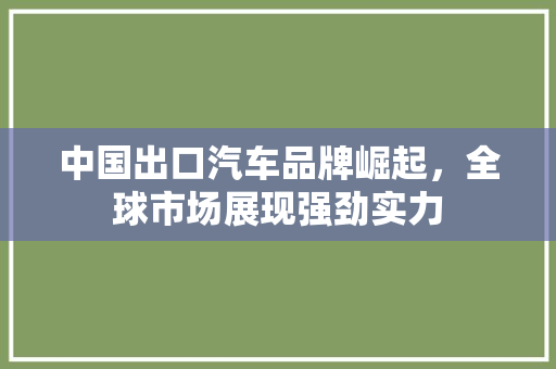 中国出口汽车品牌崛起，全球市场展现强劲实力