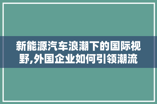 新能源汽车浪潮下的国际视野,外国企业如何引领潮流