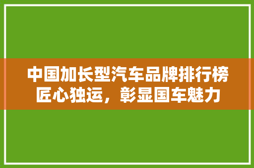 中国加长型汽车品牌排行榜匠心独运，彰显国车魅力