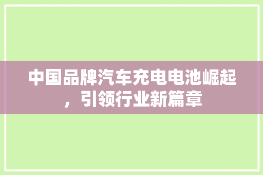 中国品牌汽车充电电池崛起，引领行业新篇章