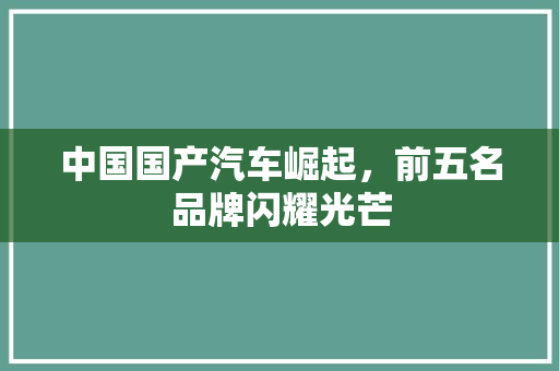 中国国产汽车崛起，前五名品牌闪耀光芒