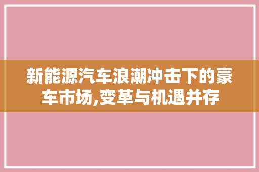 新能源汽车浪潮冲击下的豪车市场,变革与机遇并存