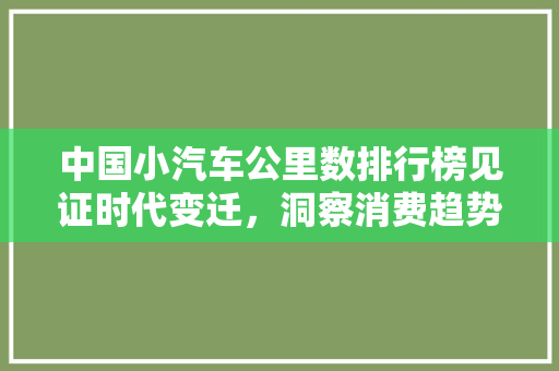 中国小汽车公里数排行榜见证时代变迁，洞察消费趋势