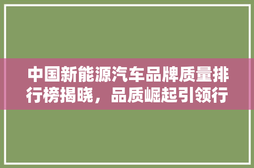中国新能源汽车品牌质量排行榜揭晓，品质崛起引领行业新风向