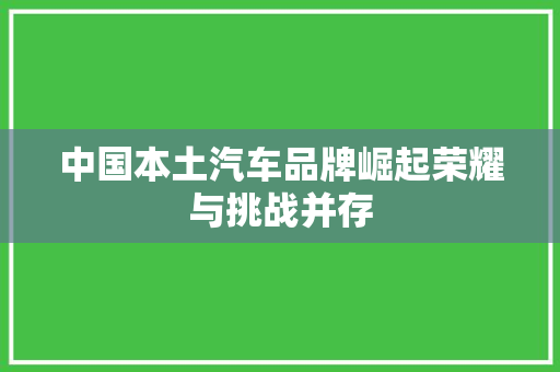 中国本土汽车品牌崛起荣耀与挑战并存
