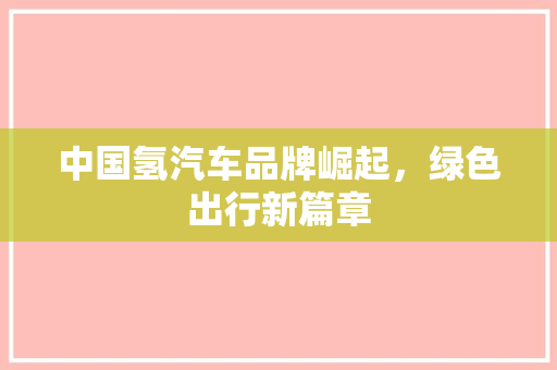 中国氢汽车品牌崛起，绿色出行新篇章