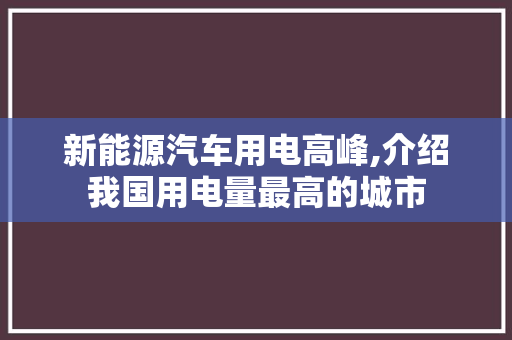 新能源汽车用电高峰,介绍我国用电量最高的城市