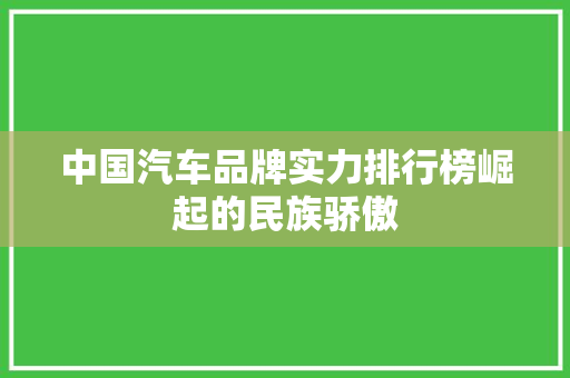 中国汽车品牌实力排行榜崛起的民族骄傲