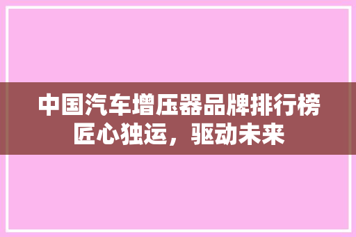 中国汽车增压器品牌排行榜匠心独运，驱动未来
