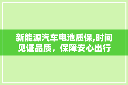 新能源汽车电池质保,时间见证品质，保障安心出行