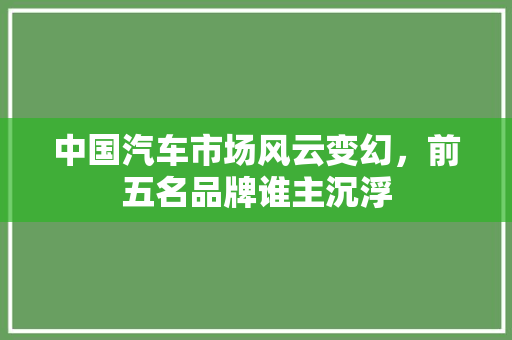中国汽车市场风云变幻，前五名品牌谁主沉浮