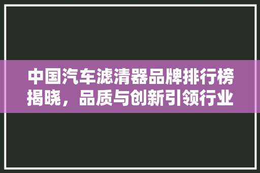 中国汽车滤清器品牌排行榜揭晓，品质与创新引领行业发展