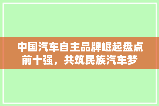 中国汽车自主品牌崛起盘点前十强，共筑民族汽车梦