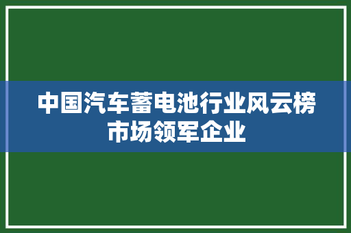 中国汽车蓄电池行业风云榜市场领军企业