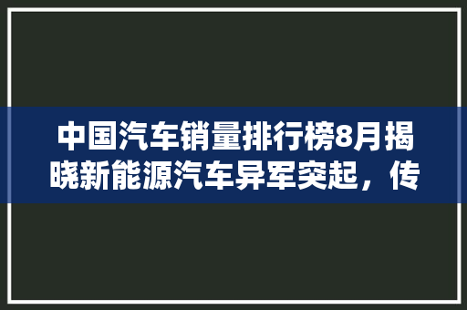 中国汽车销量排行榜8月揭晓新能源汽车异军突起，传统燃油车面临挑战