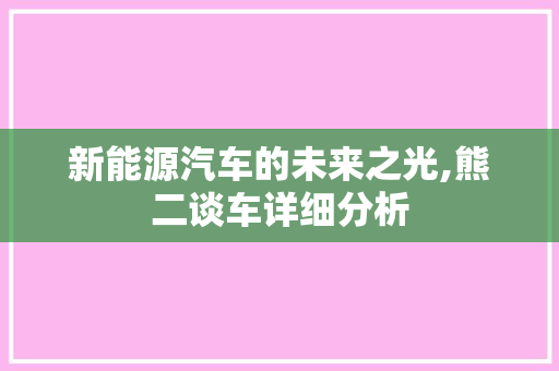 新能源汽车的未来之光,熊二谈车详细分析