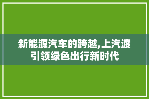 新能源汽车的跨越,上汽渡引领绿色出行新时代