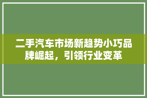 二手汽车市场新趋势小巧品牌崛起，引领行业变革