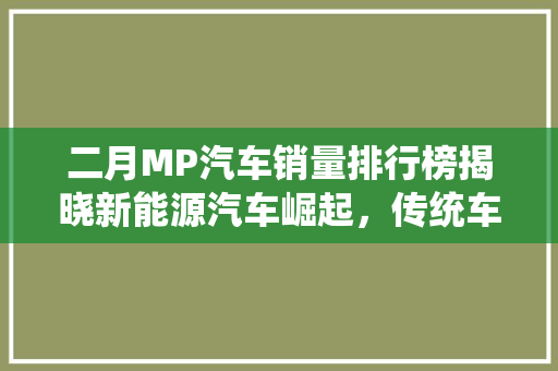 二月MP汽车销量排行榜揭晓新能源汽车崛起，传统车企面临挑战