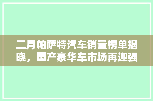 二月帕萨特汽车销量榜单揭晓，国产豪华车市场再迎强者