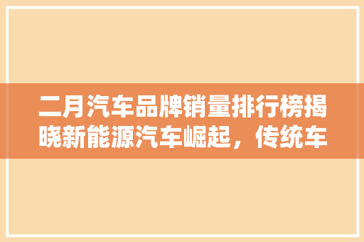 二月汽车品牌销量排行榜揭晓新能源汽车崛起，传统车企面临挑战