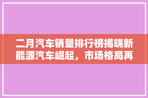 二月汽车销量排行榜揭晓新能源汽车崛起，市场格局再掀风云