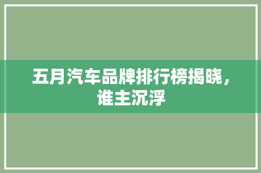 五月汽车品牌排行榜揭晓，谁主沉浮
