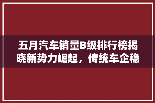 五月汽车销量B级排行榜揭晓新势力崛起，传统车企稳扎稳打