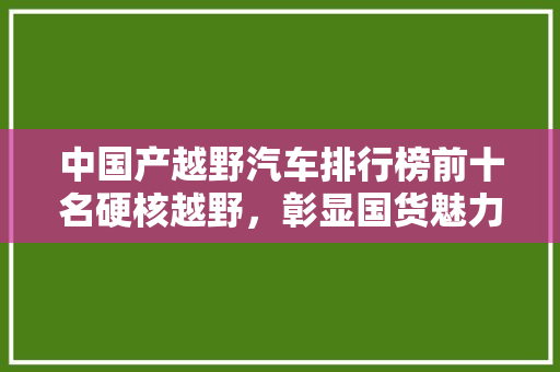 中国产越野汽车排行榜前十名硬核越野，彰显国货魅力