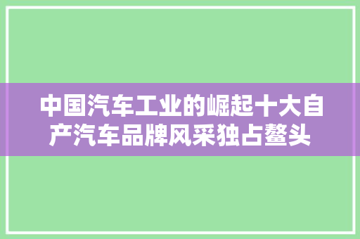 中国汽车工业的崛起十大自产汽车品牌风采独占鳌头