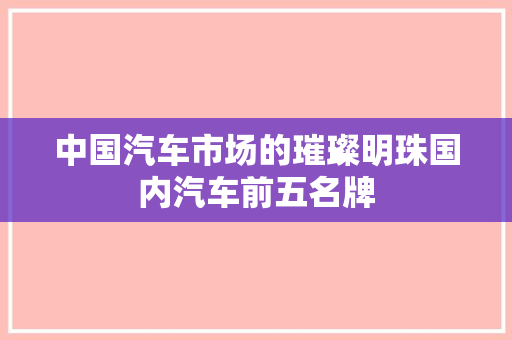 中国汽车市场的璀璨明珠国内汽车前五名牌