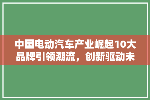 中国电动汽车产业崛起10大品牌引领潮流，创新驱动未来