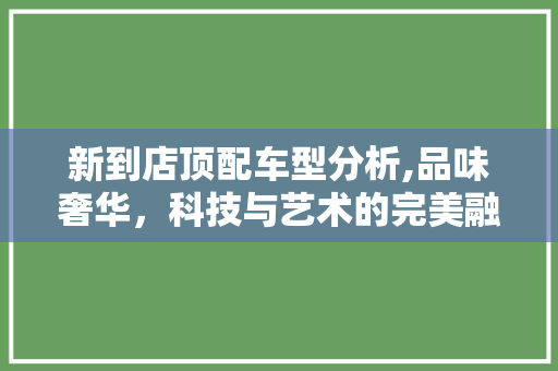 新到店顶配车型分析,品味奢华，科技与艺术的完美融合