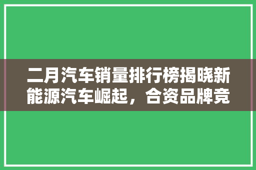 二月汽车销量排行榜揭晓新能源汽车崛起，合资品牌竞争加剧
