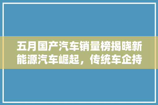 五月国产汽车销量榜揭晓新能源汽车崛起，传统车企持续发力