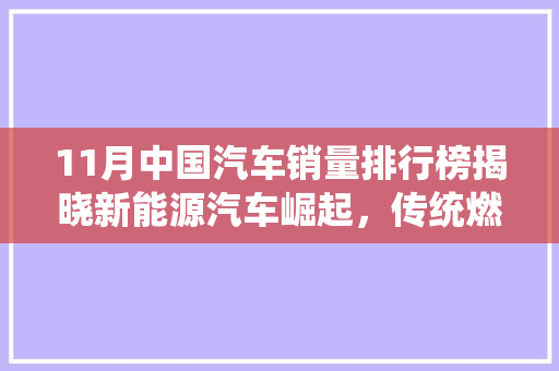 11月中国汽车销量排行榜揭晓新能源汽车崛起，传统燃油车面临挑战
