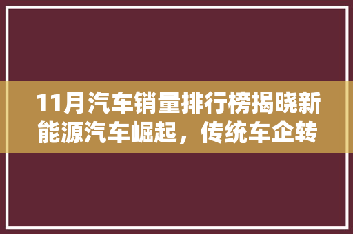 11月汽车销量排行榜揭晓新能源汽车崛起，传统车企转型加速