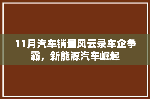 11月汽车销量风云录车企争霸，新能源汽车崛起