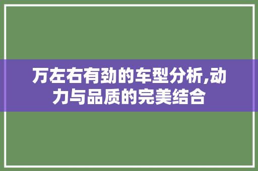 万左右有劲的车型分析,动力与品质的完美结合