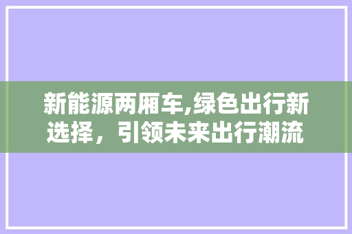 新能源两厢车,绿色出行新选择，引领未来出行潮流