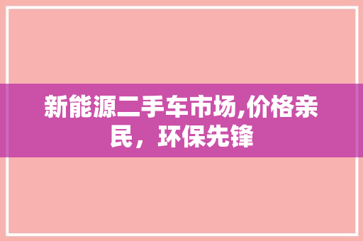 新能源二手车市场,价格亲民，环保先锋
