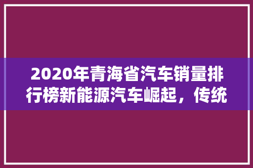 2020年青海省汽车销量排行榜新能源汽车崛起，传统车型稳居前列