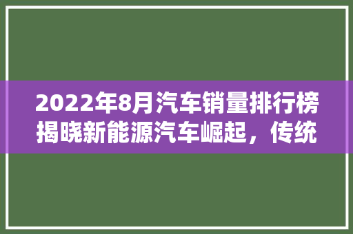 2022年8月汽车销量排行榜揭晓新能源汽车崛起，传统燃油车面临挑战