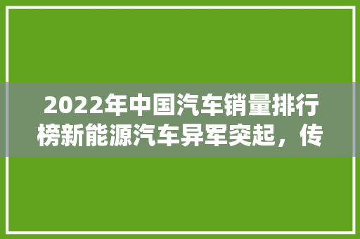 2022年中国汽车销量排行榜新能源汽车异军突起，传统车企转型升级