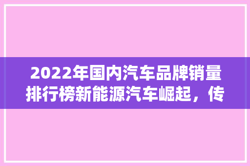 2022年国内汽车品牌销量排行榜新能源汽车崛起，传统车企面临挑战