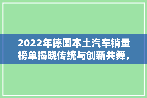 2022年德国本土汽车销量榜单揭晓传统与创新共舞，汽车行业新格局初现