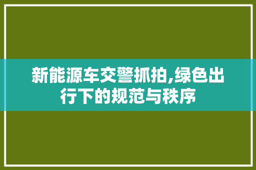 新能源车交警抓拍,绿色出行下的规范与秩序