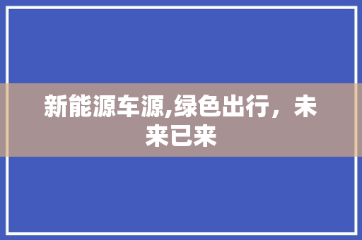 新能源车源,绿色出行，未来已来