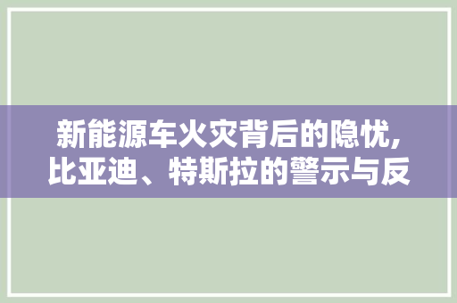 新能源车火灾背后的隐忧,比亚迪、特斯拉的警示与反思