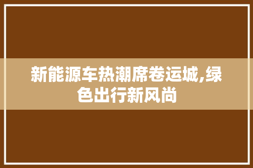 新能源车热潮席卷运城,绿色出行新风尚